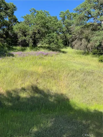 a view of yard with green space