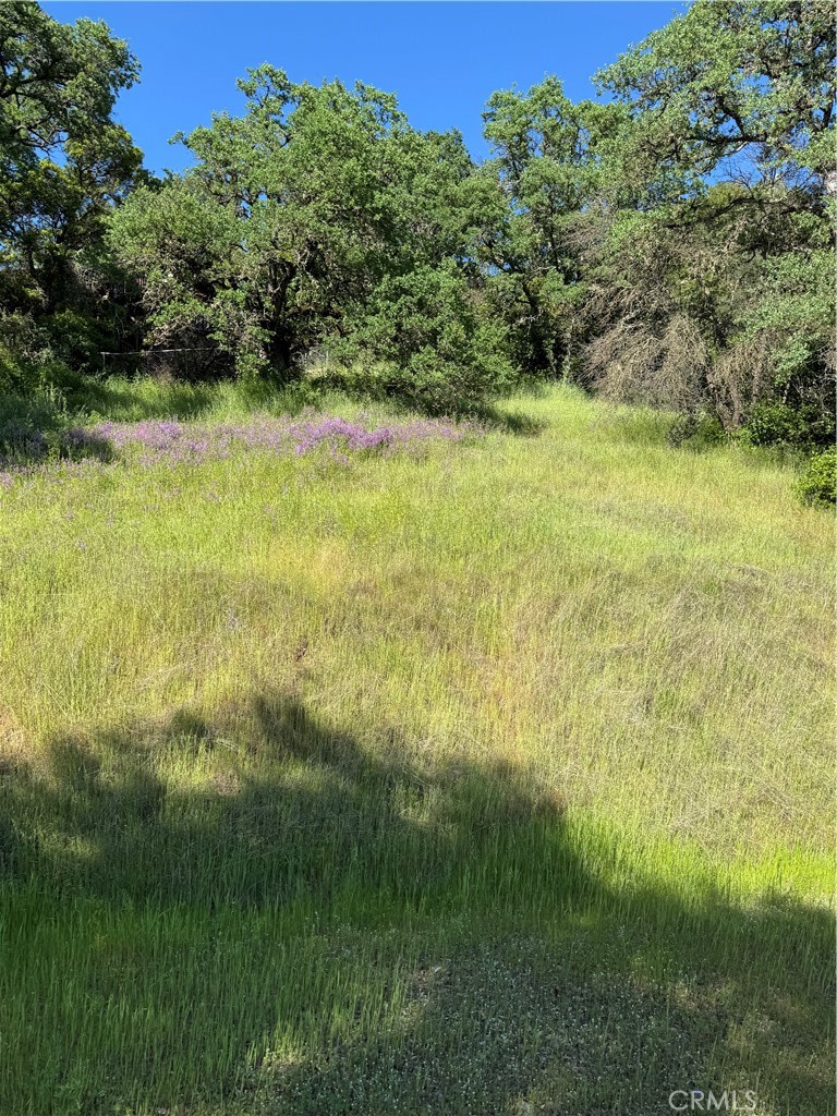 6705 Floyd Way Nice, CA 95464 - Photo 12 of 14 a view of yard with green space