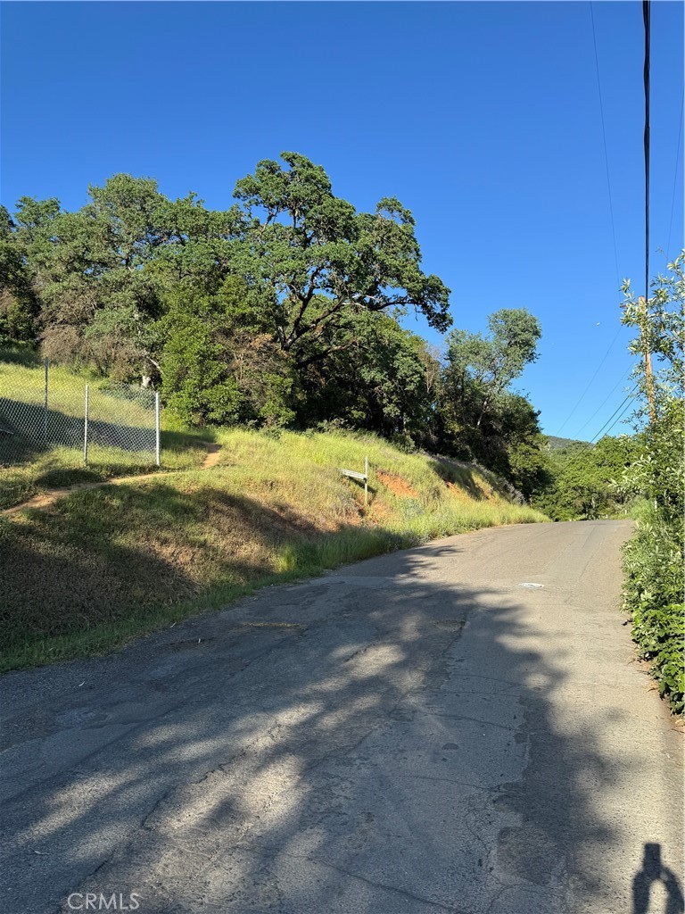 6705 Floyd Way Nice, CA 95464 - Photo 14 of 14 a view of a yard