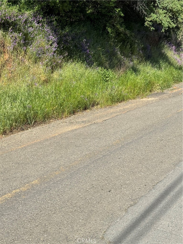 6705 Floyd Way Nice, CA 95464 - Photo 5 of 14 a view of a road with a yard