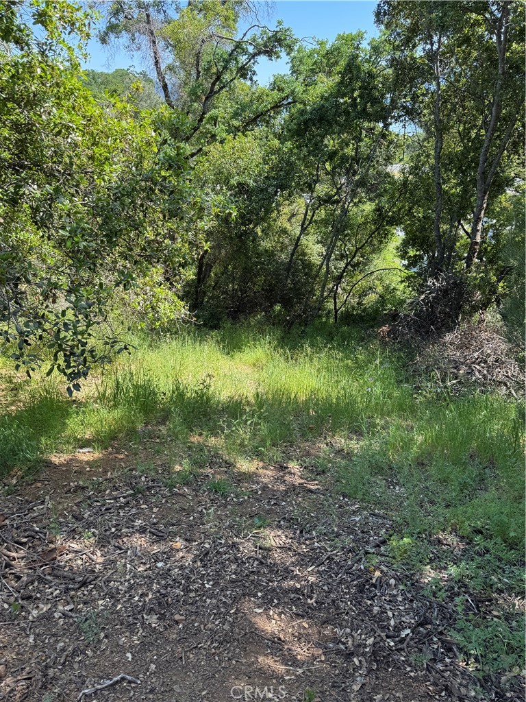 6705 Floyd Way Nice, CA 95464 - Photo 6 of 14 a view of outdoor space and trees