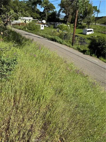 a view of a garden with a lake view