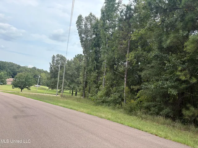 $125,000 | Midway Estates Drive, Terry, MS 39170