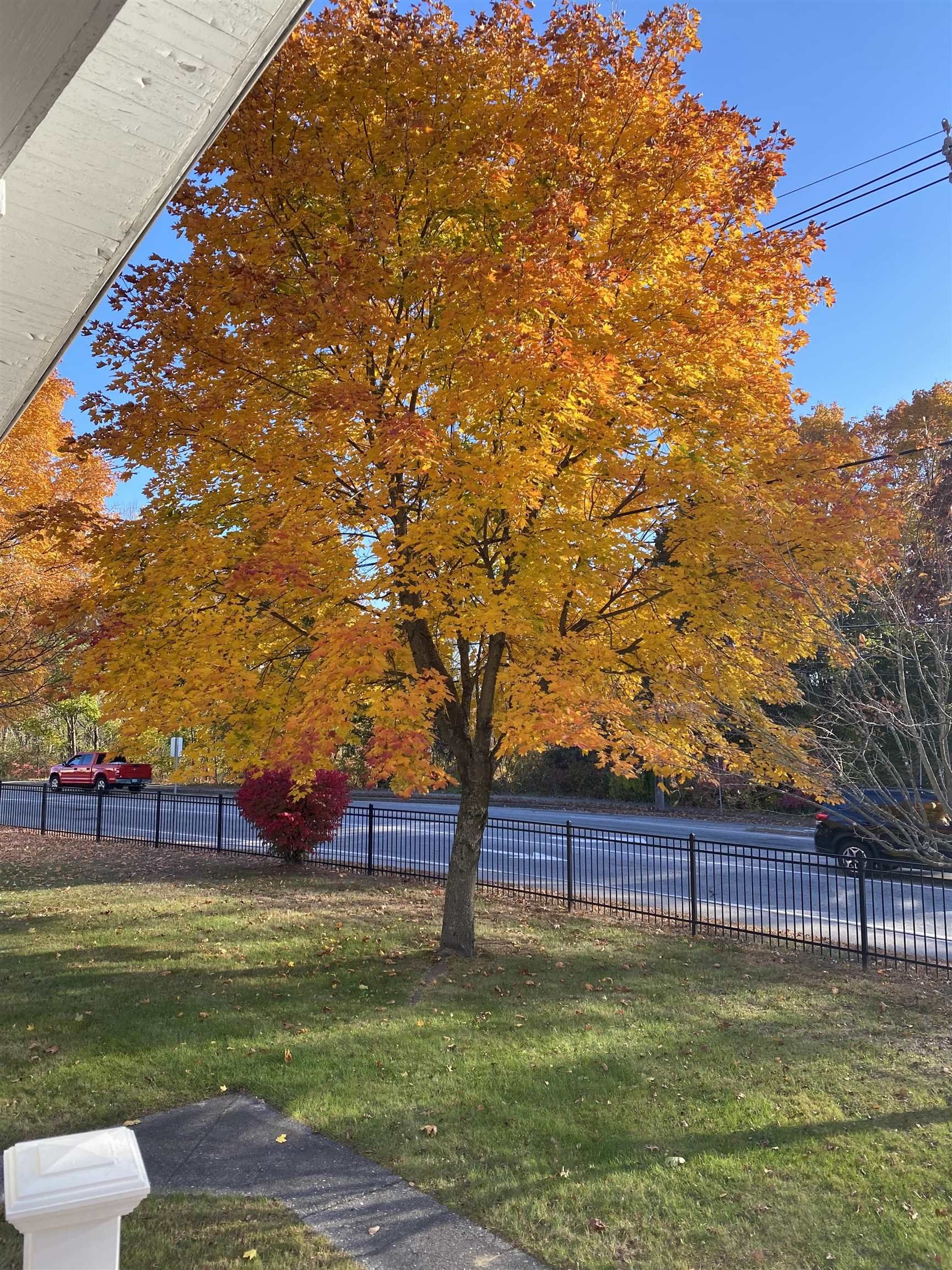 549 West Street Keene, NH 03431 - Photo 32 of 42