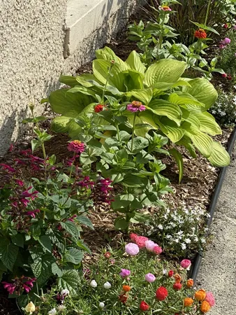 $599,000 | 549 West Street, Keene, NH 03431