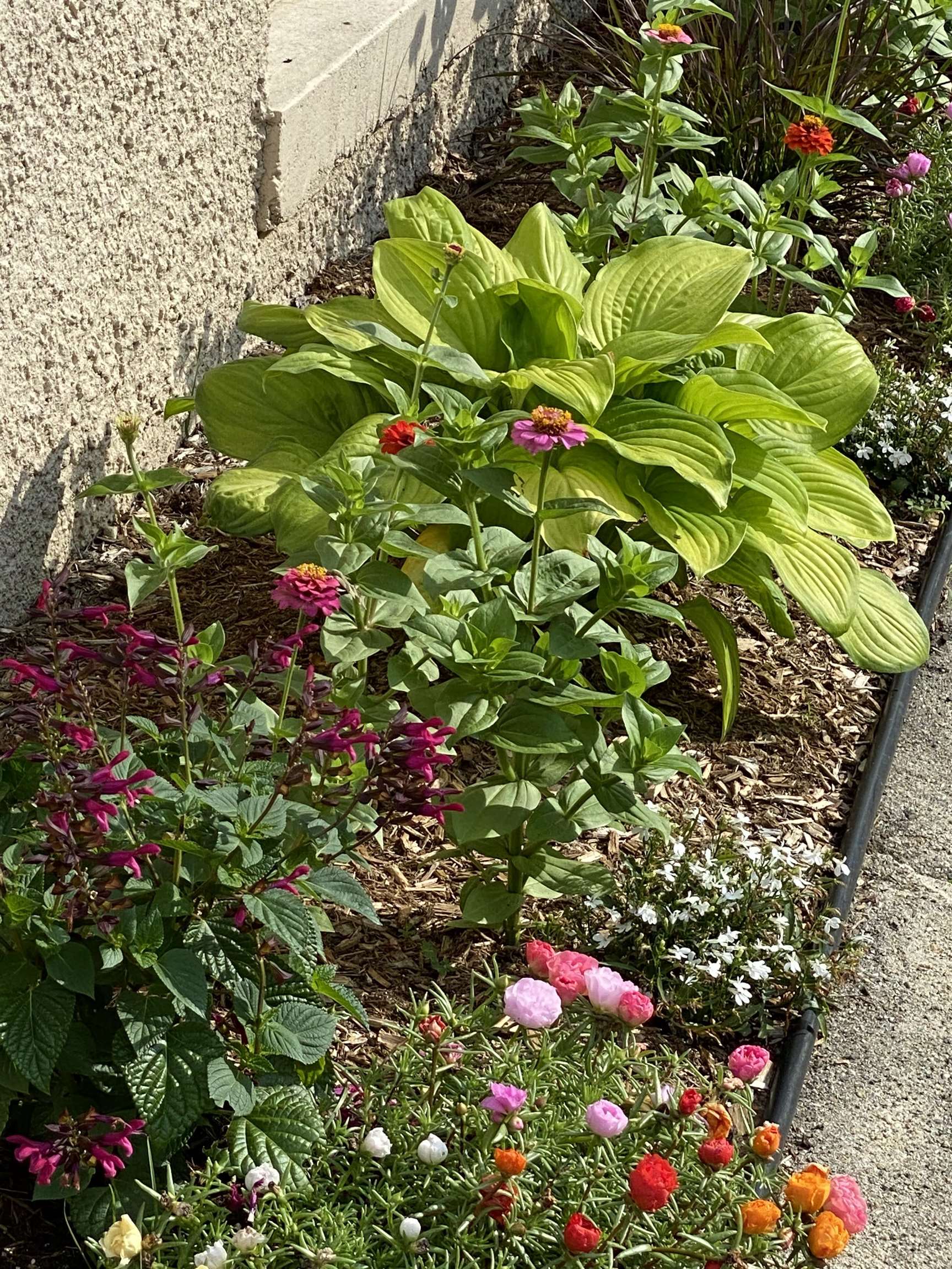 549 West Street Keene, NH 03431 - Photo 35 of 42