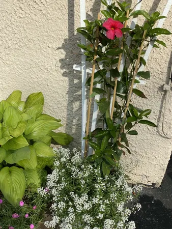 $599,000 | 549 West Street, Keene, NH 03431