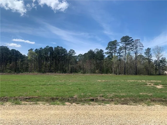 $58,500 | 24755 Lot A-3 442 Highway, Independence, LA 70443