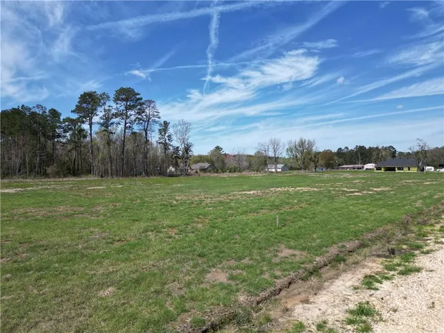 $58,500 | 24755 Lot A-3 442 Highway, Independence, LA 70443