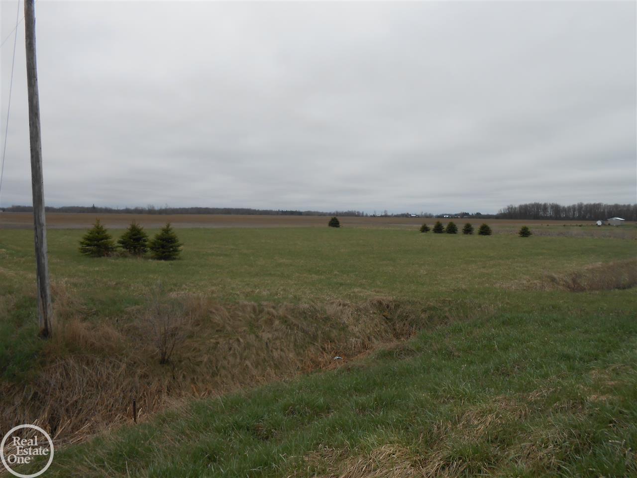 East Frenchline Road Sandusky, MI 48471 - Photo 2 of 3