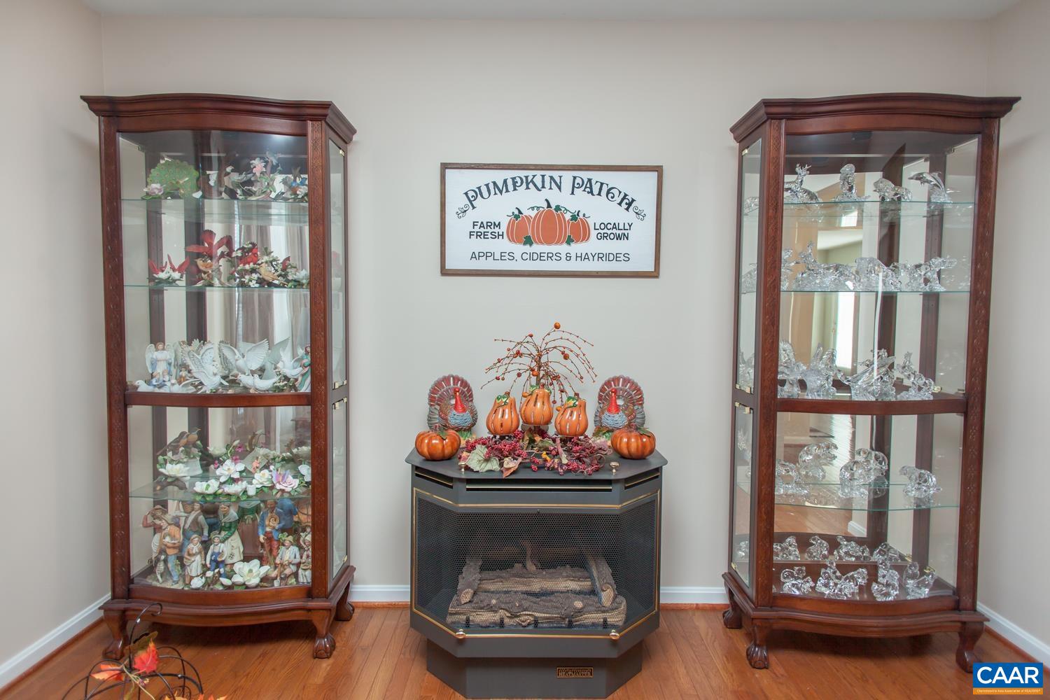 473 Reva Lane Ruckersville, VA 22968 - Photo 13 of 42 a room with furniture and a window