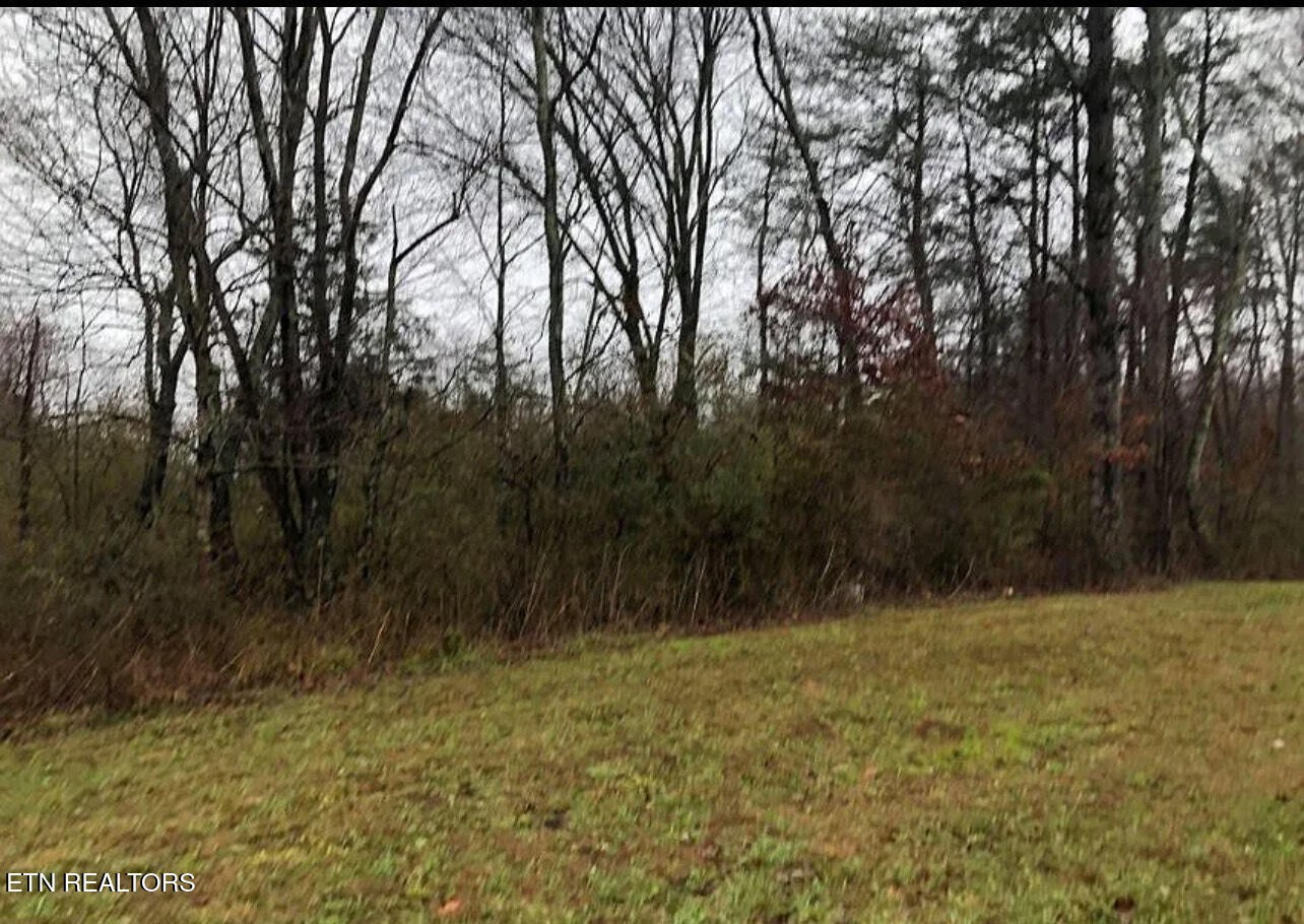 0 Fairgrounds Road Jamestown, TN 38556 - Photo 1 of 8 Gallery Image 1