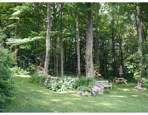 173 Mountain Road Princeton, MA 01541 - Photo 15 of 15 a view of a garden with plants