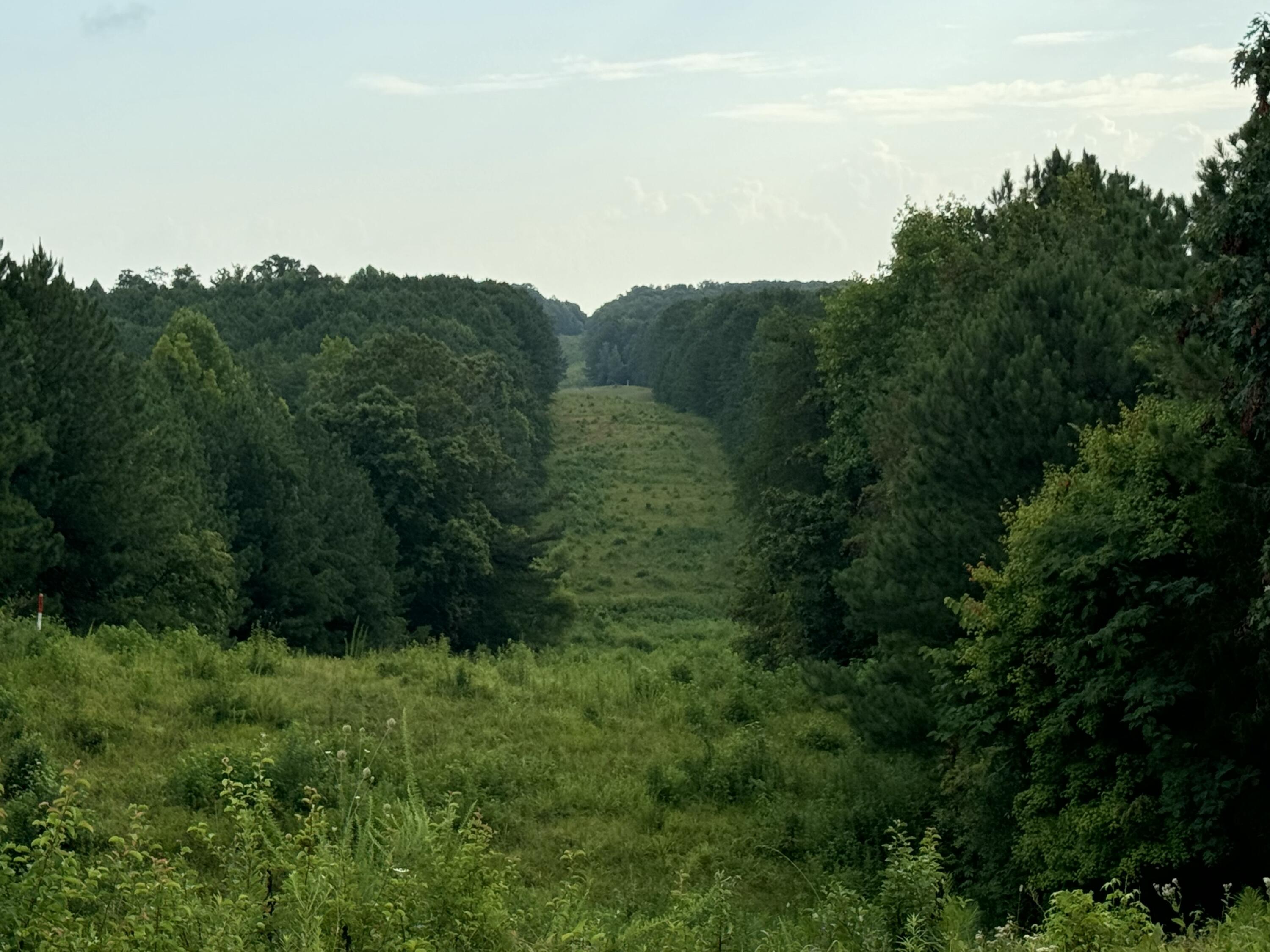 0 Ridge Road Dalton, GA 30721 - Photo 11 of 26 IMG_0810