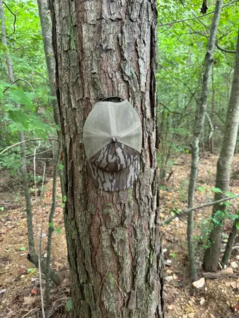 $799,000 | 0 Ridge Road, Dalton, GA 30721