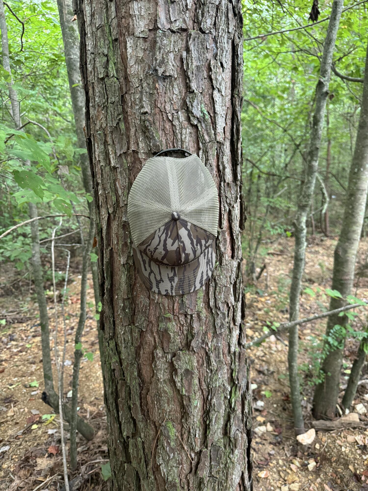 0 Ridge Road Dalton, GA 30721 - Photo 12 of 26 IMG_0811