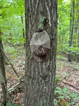 $799,000 | 0 Ridge Road, Dalton, GA 30721