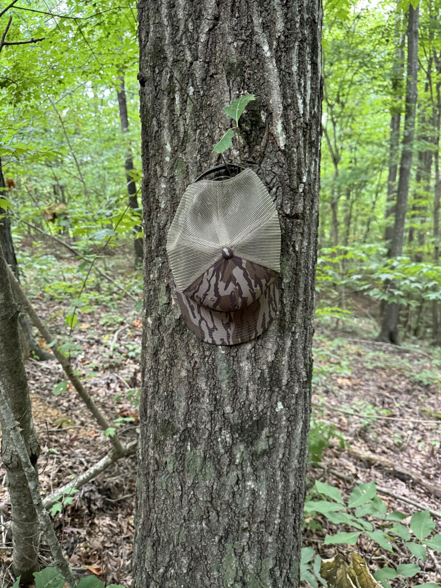 0 Ridge Road Dalton, GA 30721 - Photo 7 of 26 IMG_0806