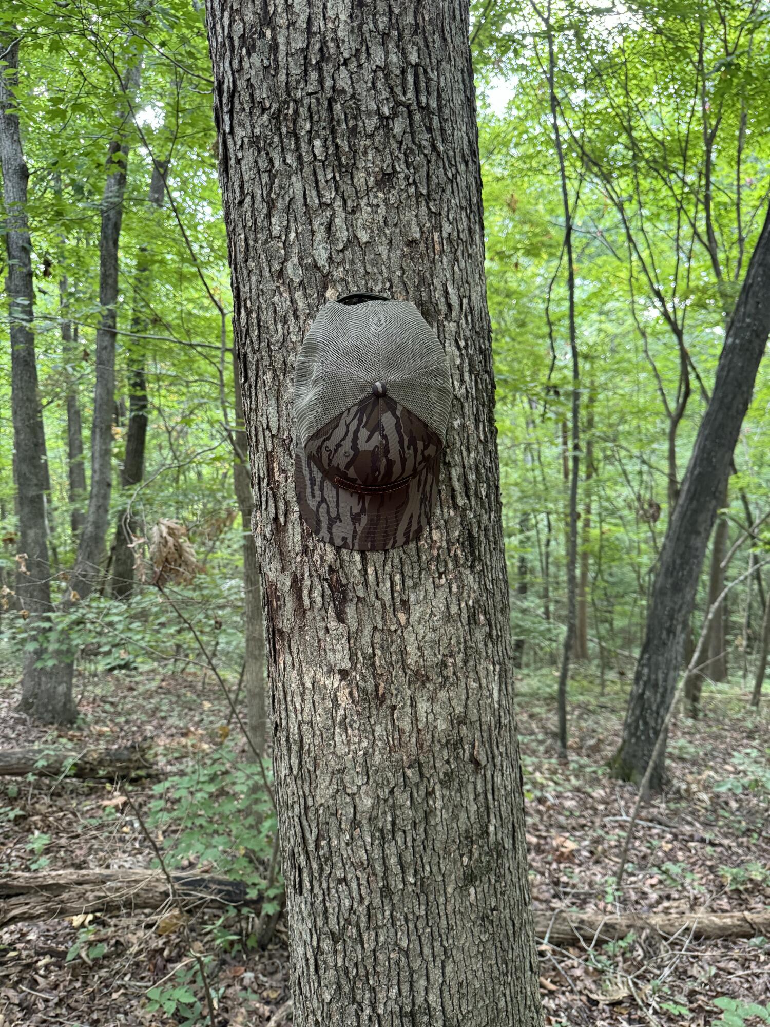 0 Ridge Road Dalton, GA 30721 - Photo 8 of 26 IMG_0807