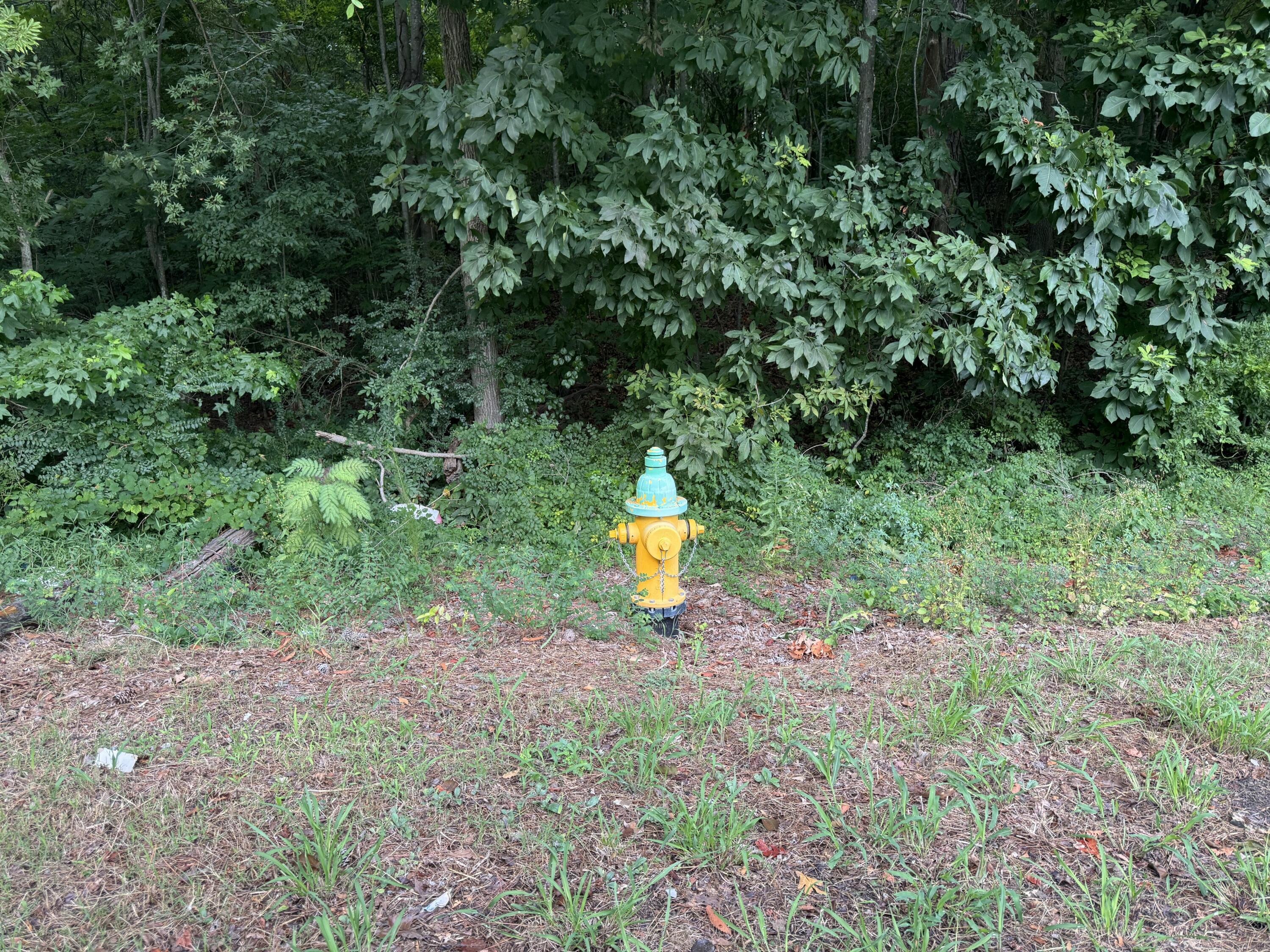 0 Ridge Road Dalton, GA 30721 - Photo 10 of 26 IMG_0809