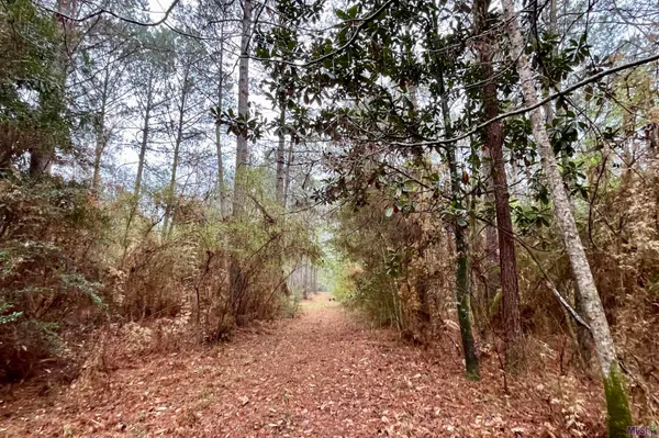 $499,500 | 2 Hinton Road, Gloster, MS 39638