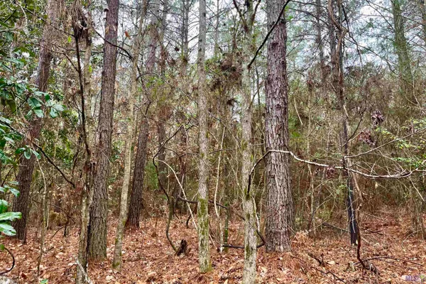 $499,500 | 2 Hinton Road, Gloster, MS 39638