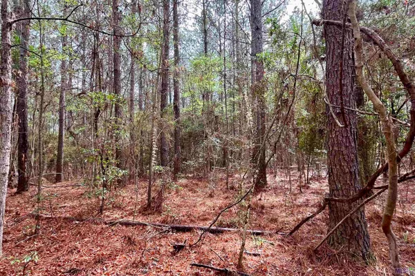 $499,500 | 2 Hinton Road, Gloster, MS 39638