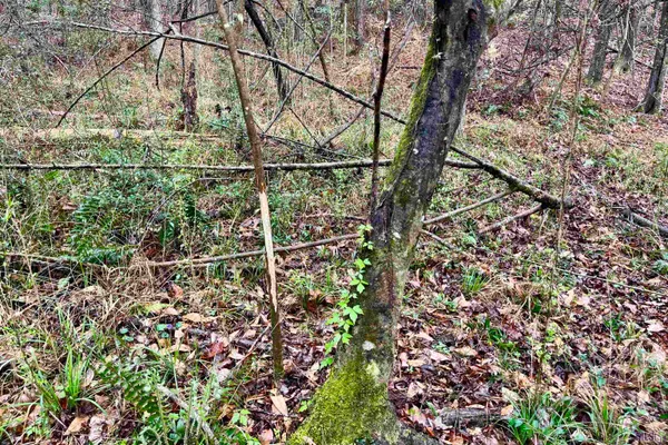 $499,500 | 2 Hinton Road, Gloster, MS 39638