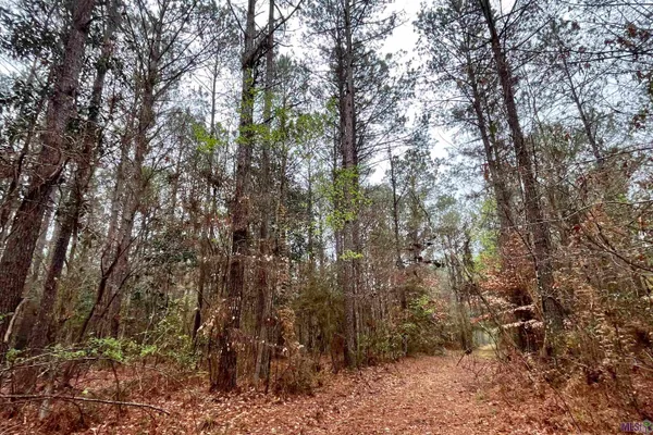 $499,500 | 2 Hinton Road, Gloster, MS 39638