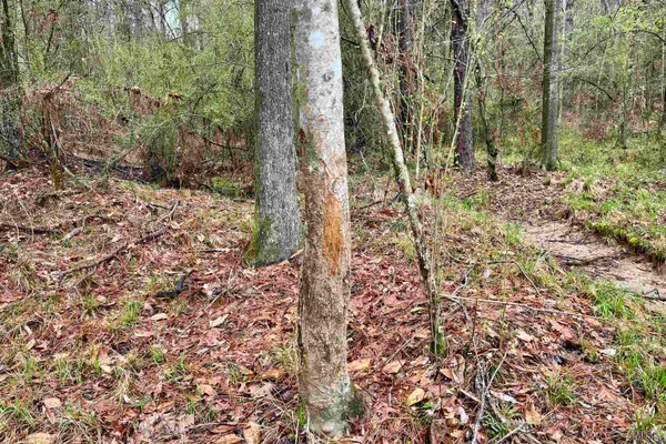 $499,500 | 2 Hinton Road, Gloster, MS 39638