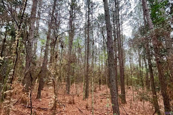 $499,500 | 2 Hinton Road, Gloster, MS 39638