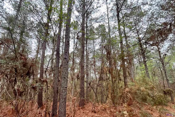 $499,500 | 2 Hinton Road, Gloster, MS 39638