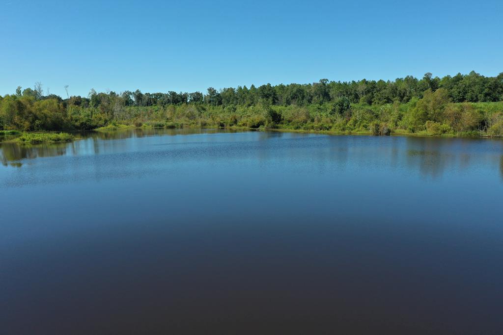 1626 Big Creek Road Meigs, GA 31765 - Photo 15 of 56 Back Pond