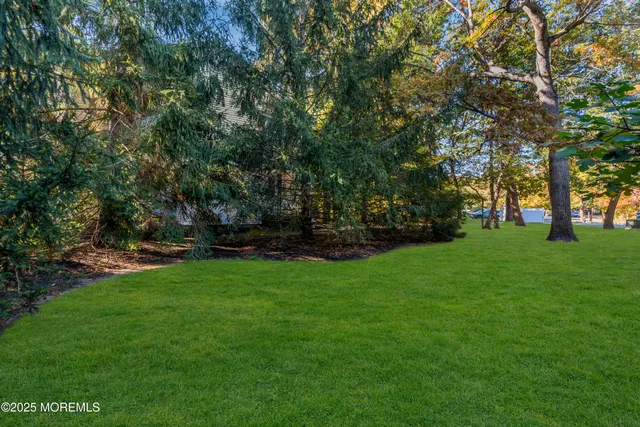 a view of green field