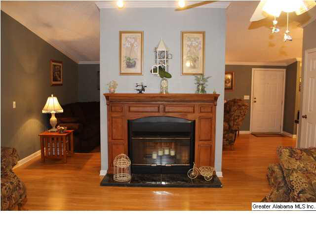 410 Pine Road Pell City, AL 35125 - Photo 4 of 25 Gallery Image 4