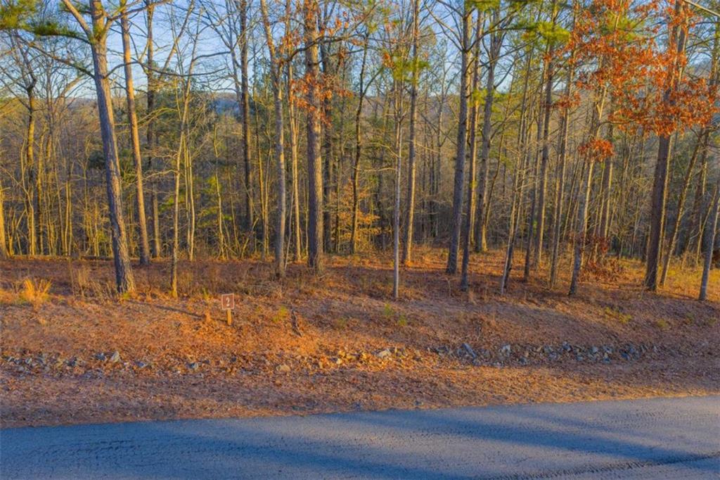 Lot 2 Blalock Mountain Road Talking Rock, GA 30175 - Photo 12 of 26 a view of yard