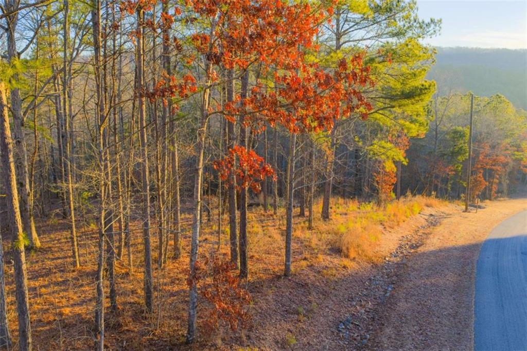 Lot 2 Blalock Mountain Road Talking Rock, GA 30175 - Photo 14 of 26 a view of a yard covered with snow
