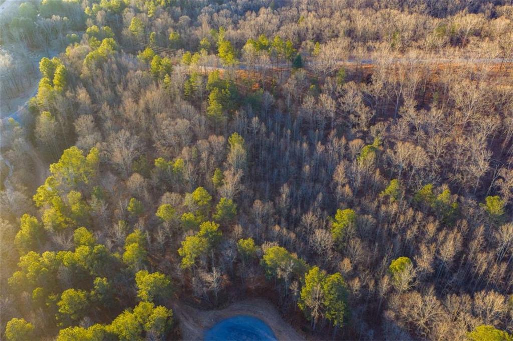 Lot 2 Blalock Mountain Road Talking Rock, GA 30175 - Photo 15 of 26 a picture of flowers