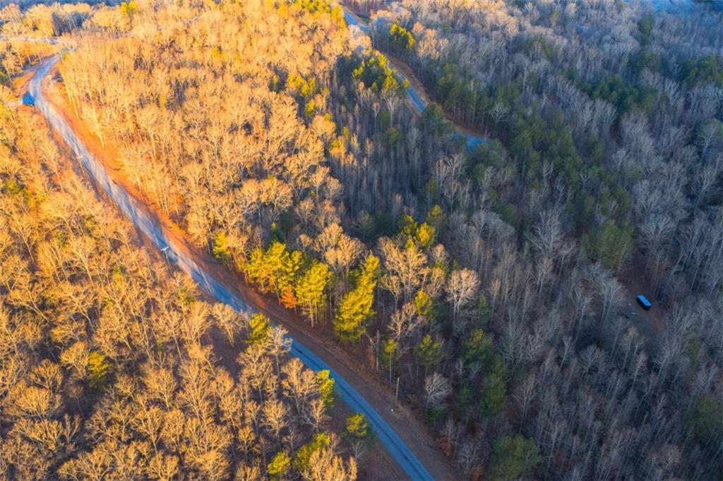 Lot 2 Blalock Mountain Road Talking Rock, GA 30175 - Photo 6 of 26 a view of tree