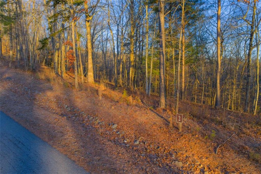 Lot 2 Blalock Mountain Road Talking Rock, GA 30175 - Photo 8 of 26