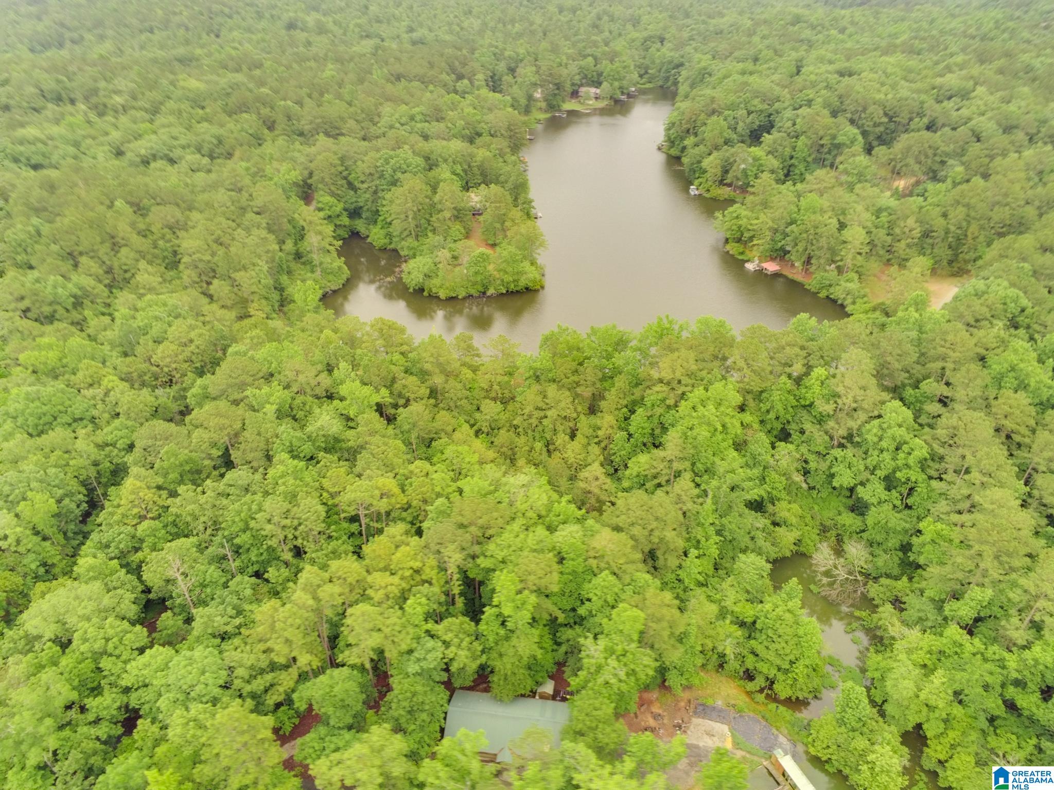 0 County Road 727, Unit 13 Montevallo, AL 35115 - Photo 8 of 15
