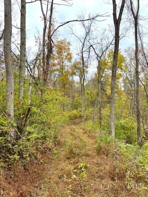 1800 Ginger Ridge Road Manchester, OH 45144 - Photo 19 of 23