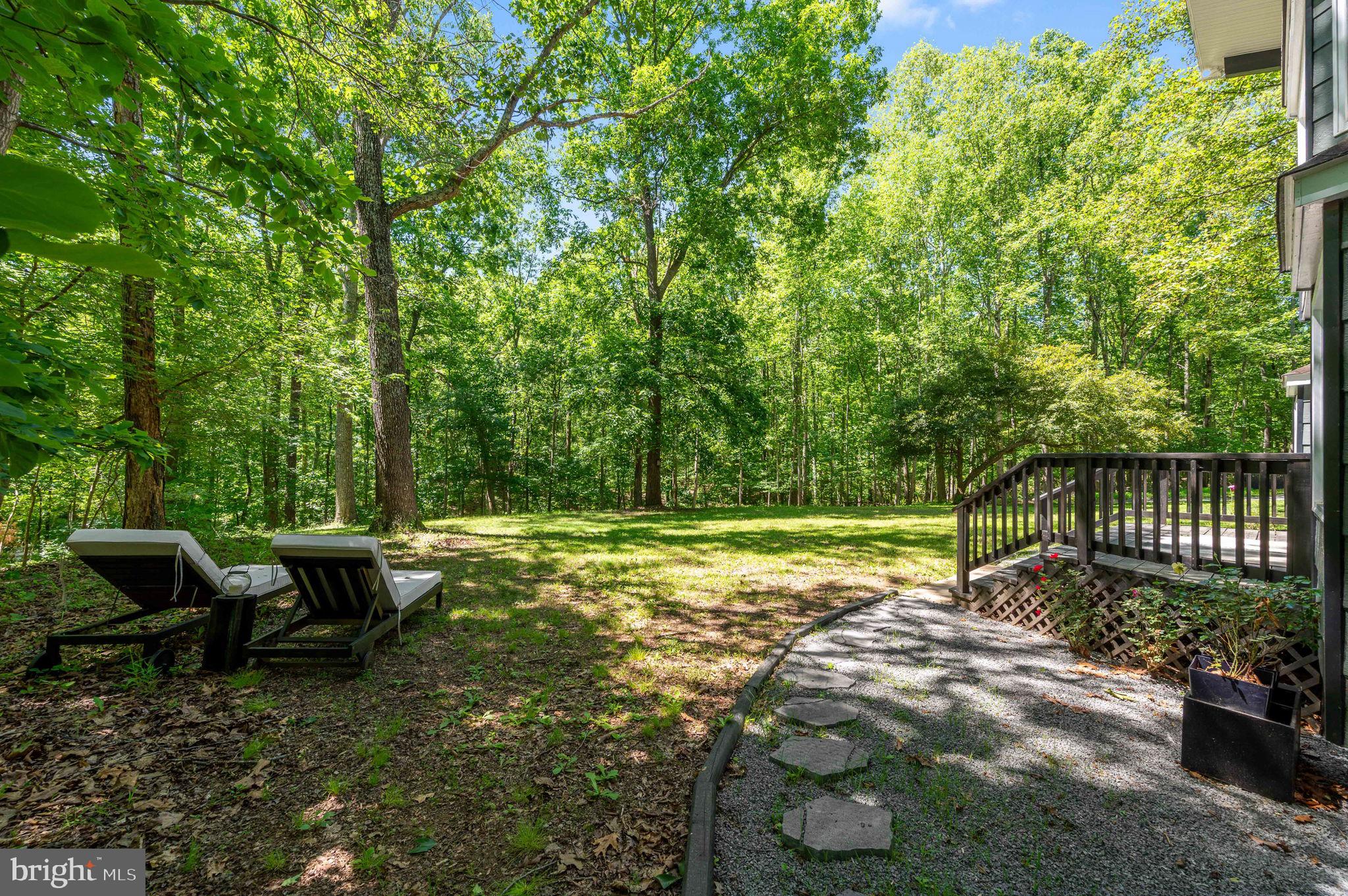 11408 Dutch Hollow Road Culpeper, VA 22701 - Photo 58 of 85 Front yard