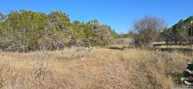 a view of a lake with lots of trees