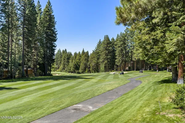 a big yard with lots of trees in the background