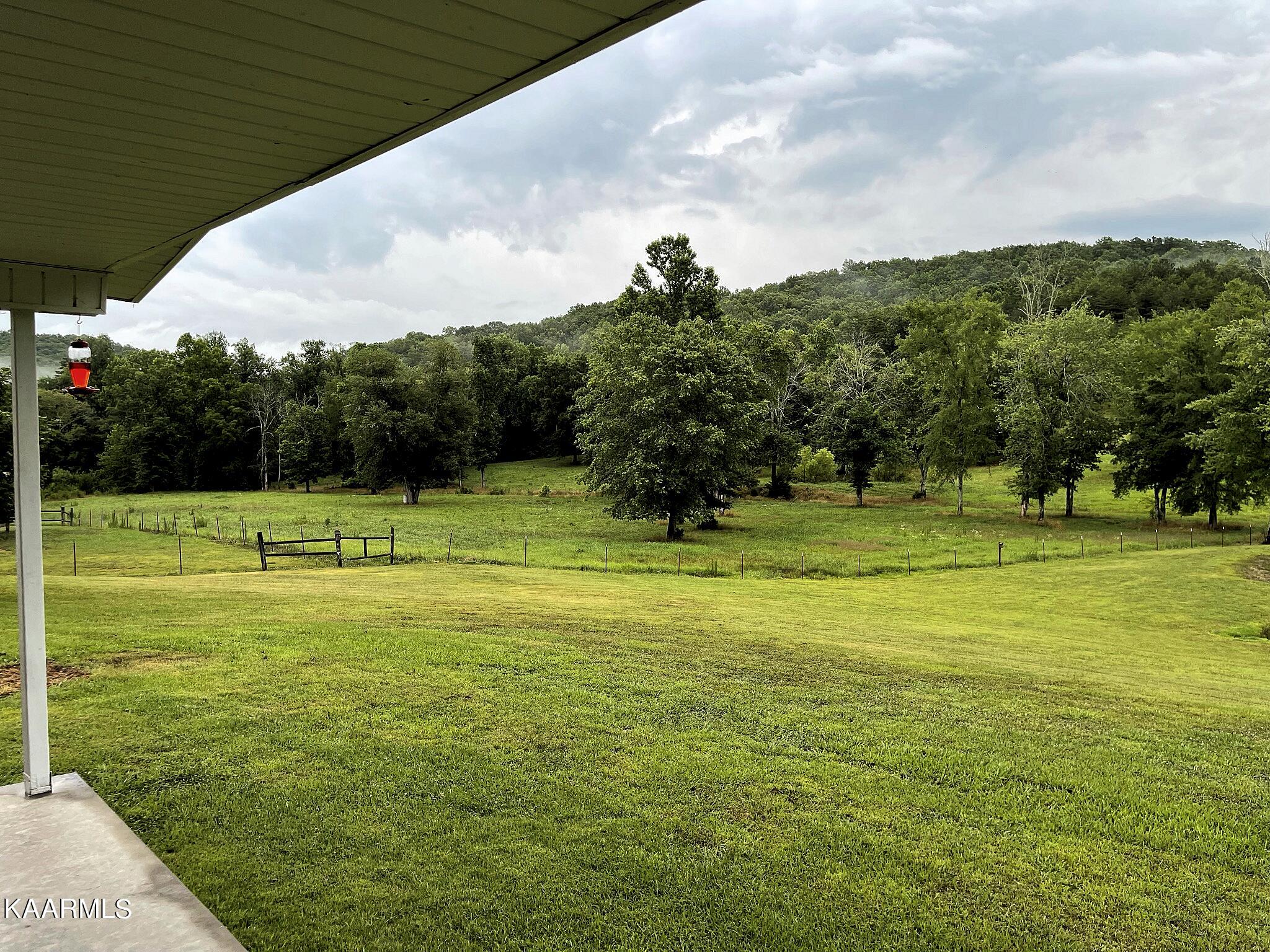 2185 Guinn Narrows Road Decatur, TN 37322 - Photo 17 of 38 Looking East from Porch