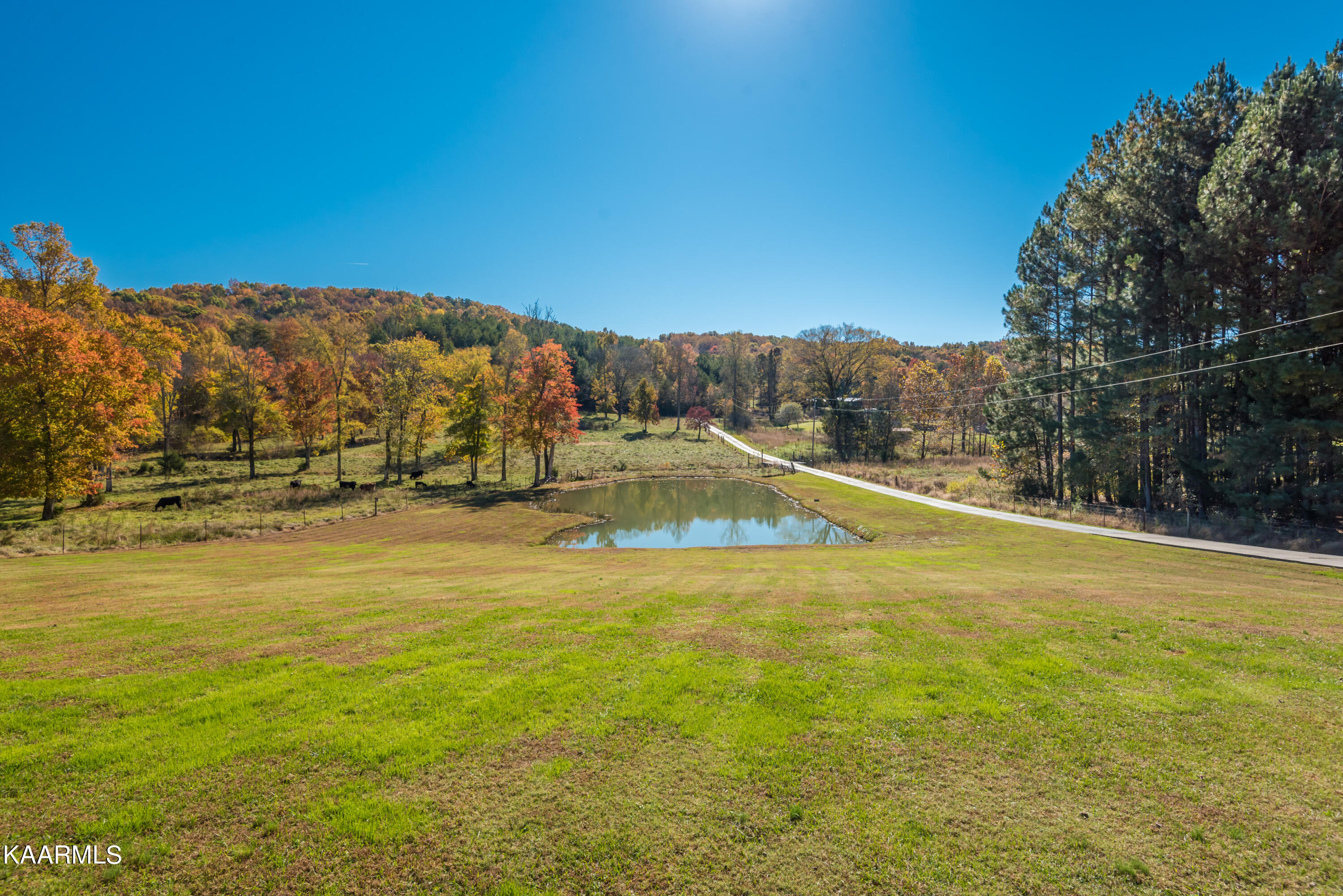 2185 Guinn Narrows Road Decatur, TN 37322 - Photo 7 of 38 2185 Guinn Narrows Rd-69