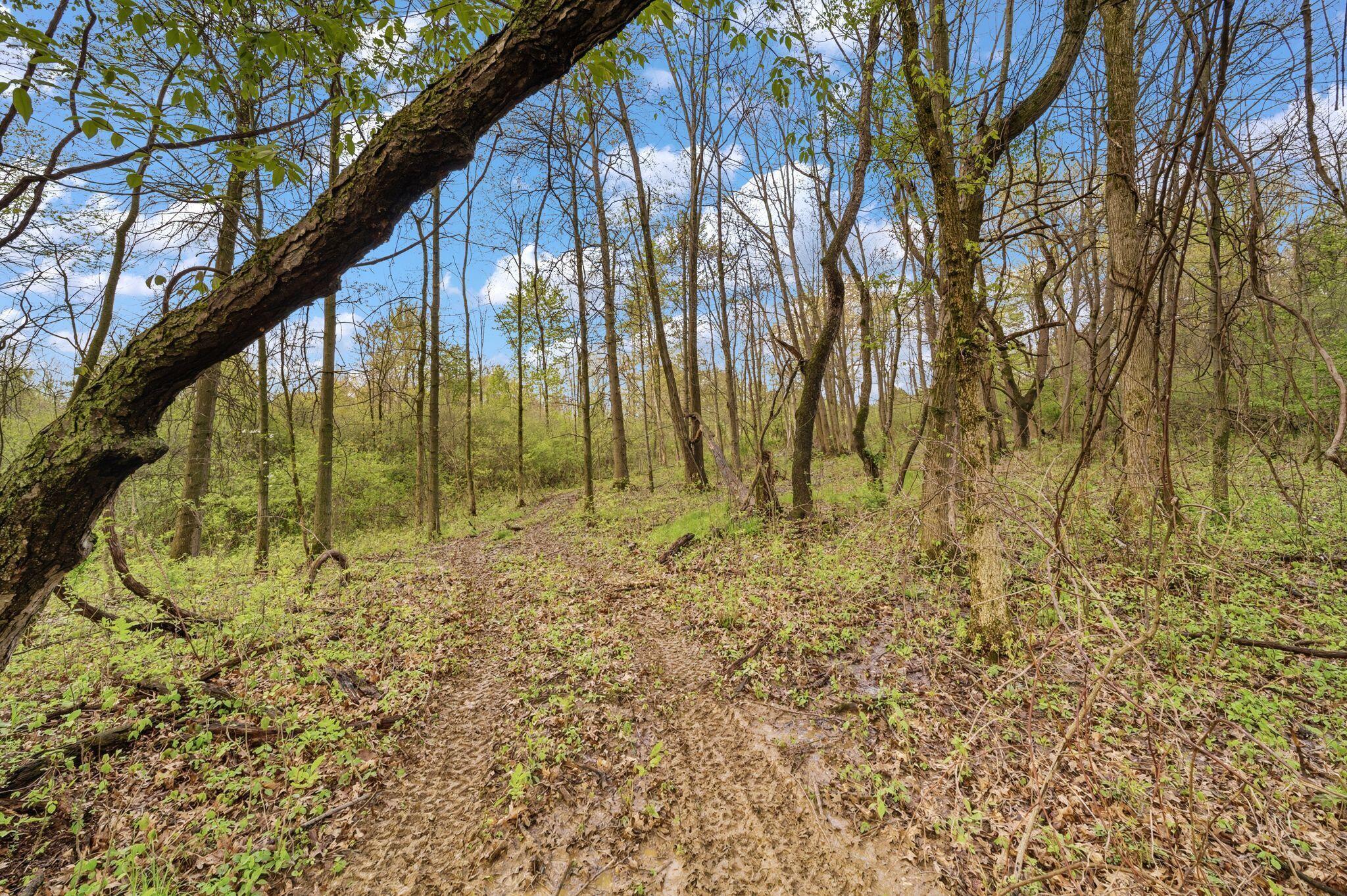 0 Lantz Road Mansfield, OH 44906 - Photo 8 of 28 AF1A3454