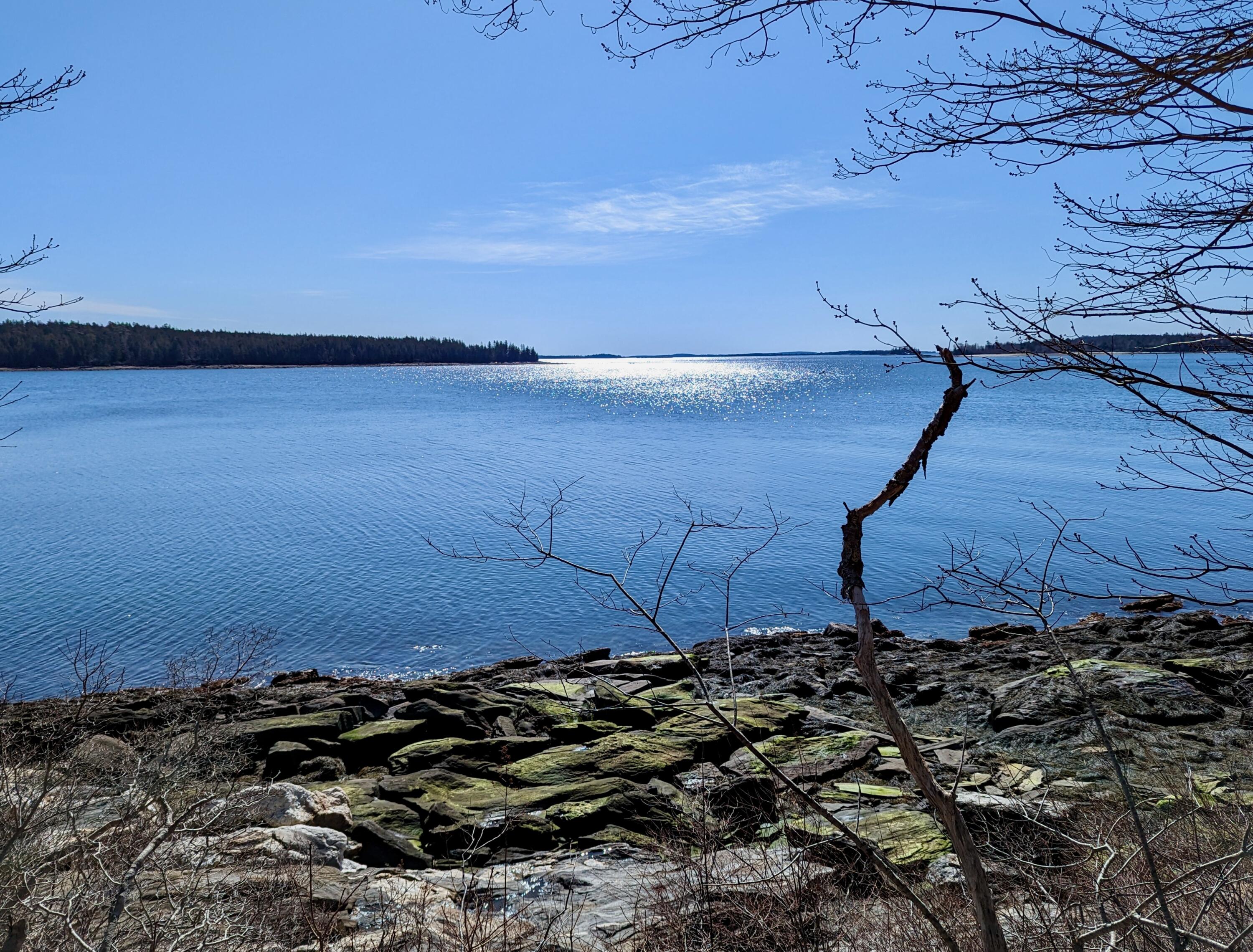 Lot 2 Churches Point Road Round Pond, ME 04564 - Photo 15 of 23 PXL_20230327_140850765