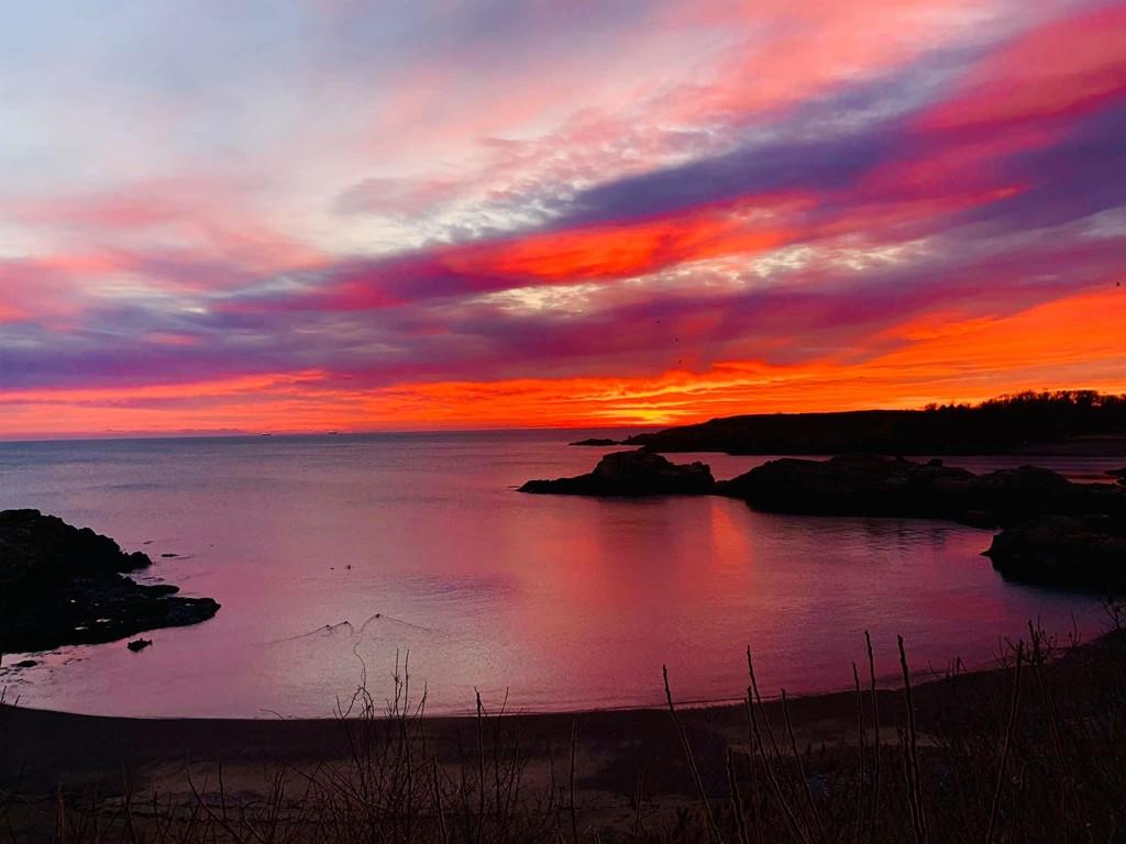 14 Fox Hill Road Nahant, MA 01908 - Photo 30 of 30 Gallery Image 30